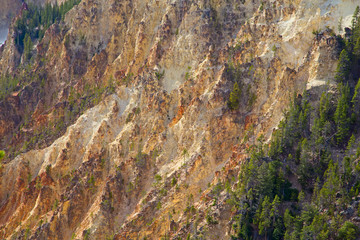 Wall Mural - Yellowstone canyon