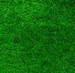 © seksan1 - artificial grass