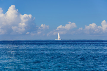 Wall Mural - boat with a sail