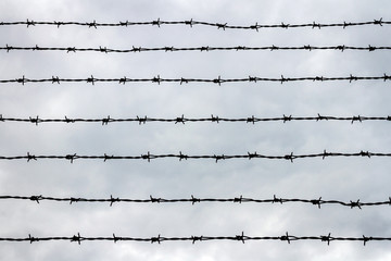 Fence with barbed wire