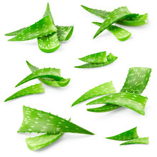 Set Of Aloe Vera Leaves