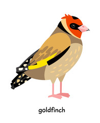 Wall Mural - Image of nice goldfinch