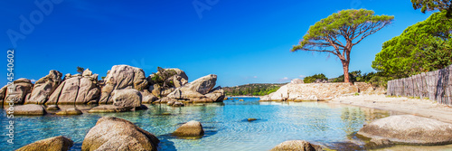 Famous Pine Tree And The Lagoon On Palombaggia Beach Corsica Famous Pine Tree And The Lagoon On Palombaggia Beach Corsica France Europe
