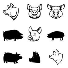 Set Of Pork Labels. Pig Silhouettes And Heads. Design Elements F