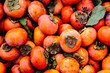 Large Pile of Persimmons