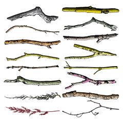 Hand painted wood twig set, ink rustic design elements collection. Dry wood tree branch and wooden twig bundle. Detailed and precise watercolor imitation driftwood twigs set. 