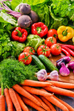 Composition with variety of fresh organic vegetables