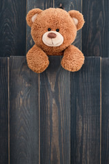 Wall Mural - cute teddy bear
