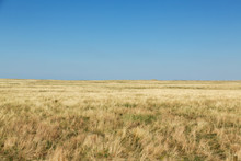 The Plains Of South Dakota On A Summer Day. 