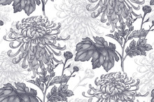 Seamless Pattern With Flowers Of Chrysanthemum.