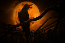 Crow Sit On Dead Tree Trunk And Croak Over Fence, Old Grunge Cas