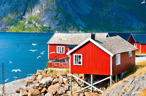 Fotografie, Obraz Tipical red houses on Lofoten islands, Norway