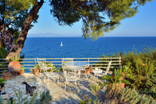 Picnic Table And Chairs In Shadow Of Pine Trees. Aegean Coast, A
