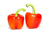 Fototapeta Kuchnia - The fruits of red paprika pepper on white