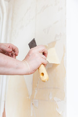 Removing of old wallpaper from the wall