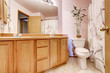 © Iriana Shiyan - Bathroom interior with light pink walls and double sink vanity