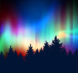 winter landscape with northern lights