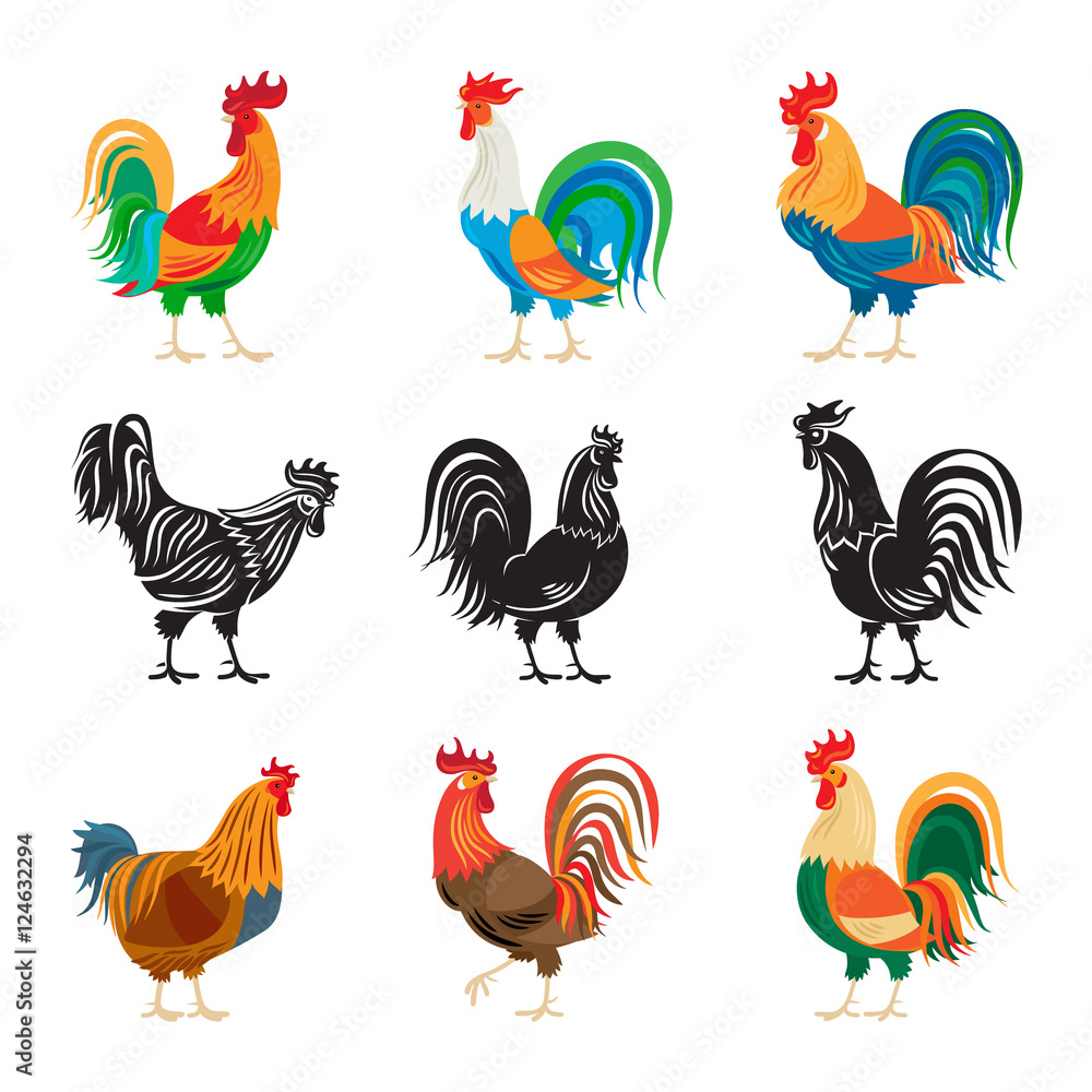Roosters and rooster silhouettes isolated on white background. Chickens farm cockerel set vector illustration - obrazy, fototapety, plakaty 