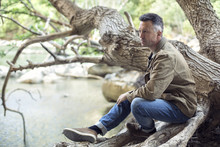 Outdoor Male Portrait. Man Sitting On Tree's Branch Near Mountai
