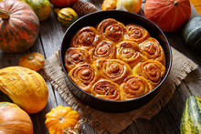 Cinnamon Pumpkin Dough Bun Rolls Spicy Homemade Traditional Danish Baked Vegan Sweet Fall Treat Cake Holiday Dessert Swirl Bread Pastry Food With Raw Pumpkins On Vintage Wooden Table Background.