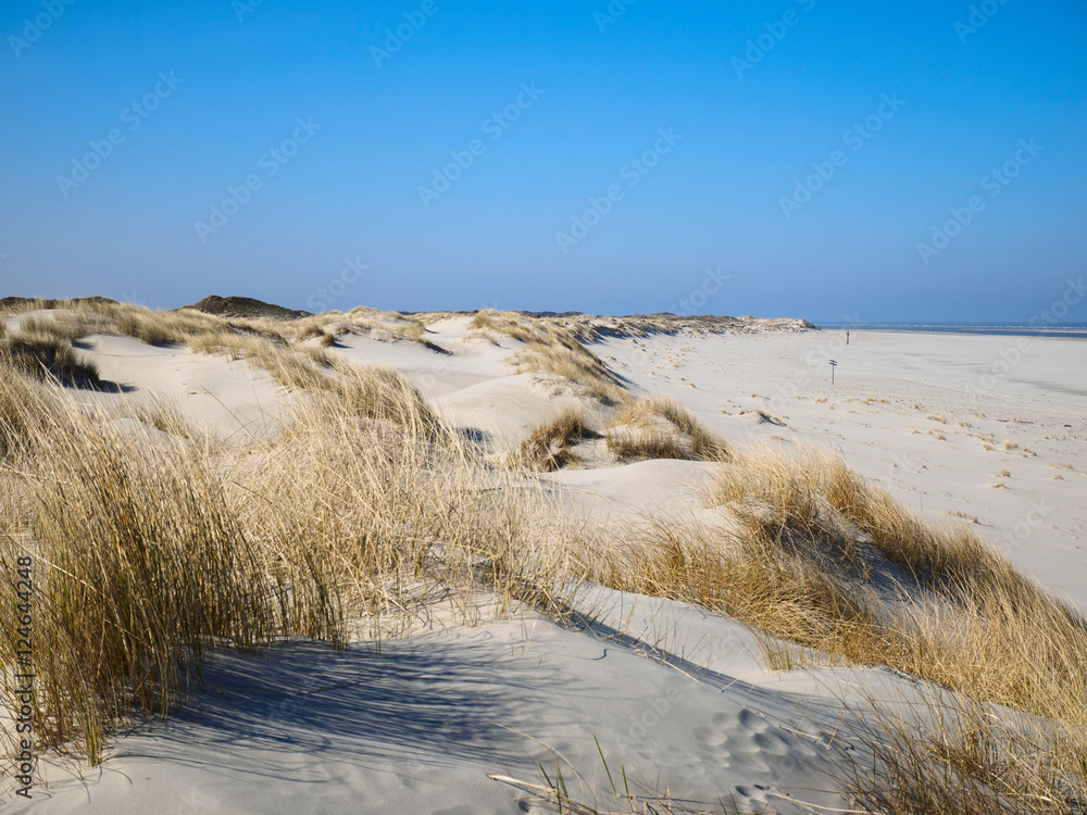 Strand, Dünen mit Dünengras und blauer Himmel - obrazy, fototapety, plakaty 