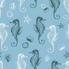 Pattern Of The Seahorses And The Seashells  