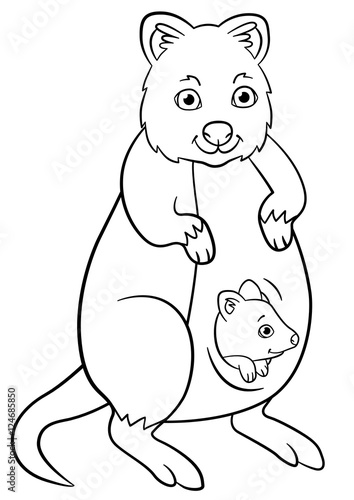 Coloring Pages Mother Quokka With Her Little Cute Baby Buy This Coloring Pages Mother Quokka With Her Little Cute Baby Buy This