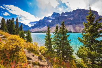 Poster - The lake is surrounded by coniferous forests