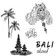 Bali sketch. Temple, Barong, palms, frangipani. Religious ceremony, traditional holiday, flora.