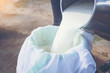 Pour raw fresh milk into a bucket