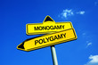 Monogamy vs Polygamy - Traffic sign with two options - traditional love relationship of two partners vs free love and promiscuity