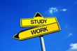 © M-SUR - Study vs Work - Traffic sign with two options - Academic degree and formal education vs job experience and building acareer
