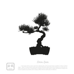 Wall Mural - Black silhouette of a bonsai on a white background. Detailed ima