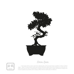 Wall Mural - Black silhouette of a bonsai on a white background. Detailed ima