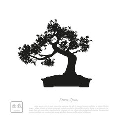 Wall Mural - Black silhouette of a bonsai on a white background. Detailed ima