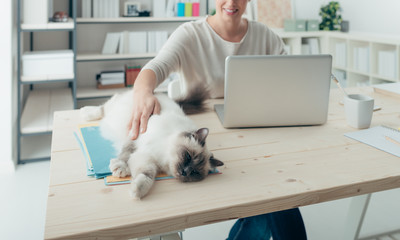 Wall Mural - Woman with her cat