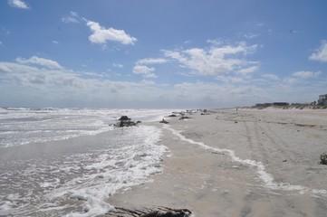 Tracks on the Beach