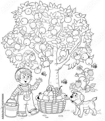 Download In the garden. A cute boy and his puppy picking apples and ...