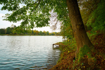 Poster - Autumn lake