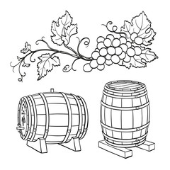 Canvas Print - grape branches and wine barrels