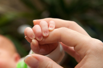 the baby clings to his mother's finger