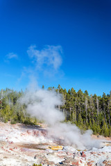 Canvas Print - Steamboat Geyser Vertical