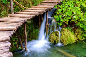 Wall Mural - Boardwalk in the park Plitvice lakes