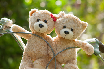 lovely brown two teddy bear in basket bicycle, in the morning