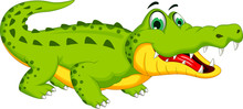 Funny Crocodile Cartoon Posing