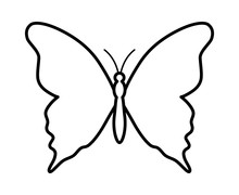 Butterfly Winged Insect Line Art Icon For Apps And Websites