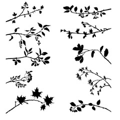set of tree branches with leaves and berries