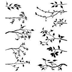 set of tree branches with leaves and berries