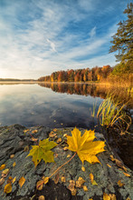 Swedish Autumn Lake Scenery In Vertical View