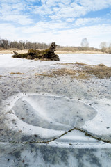 Wall Mural - Winter Landscape with Frozen Lake - Log and Blue Sky